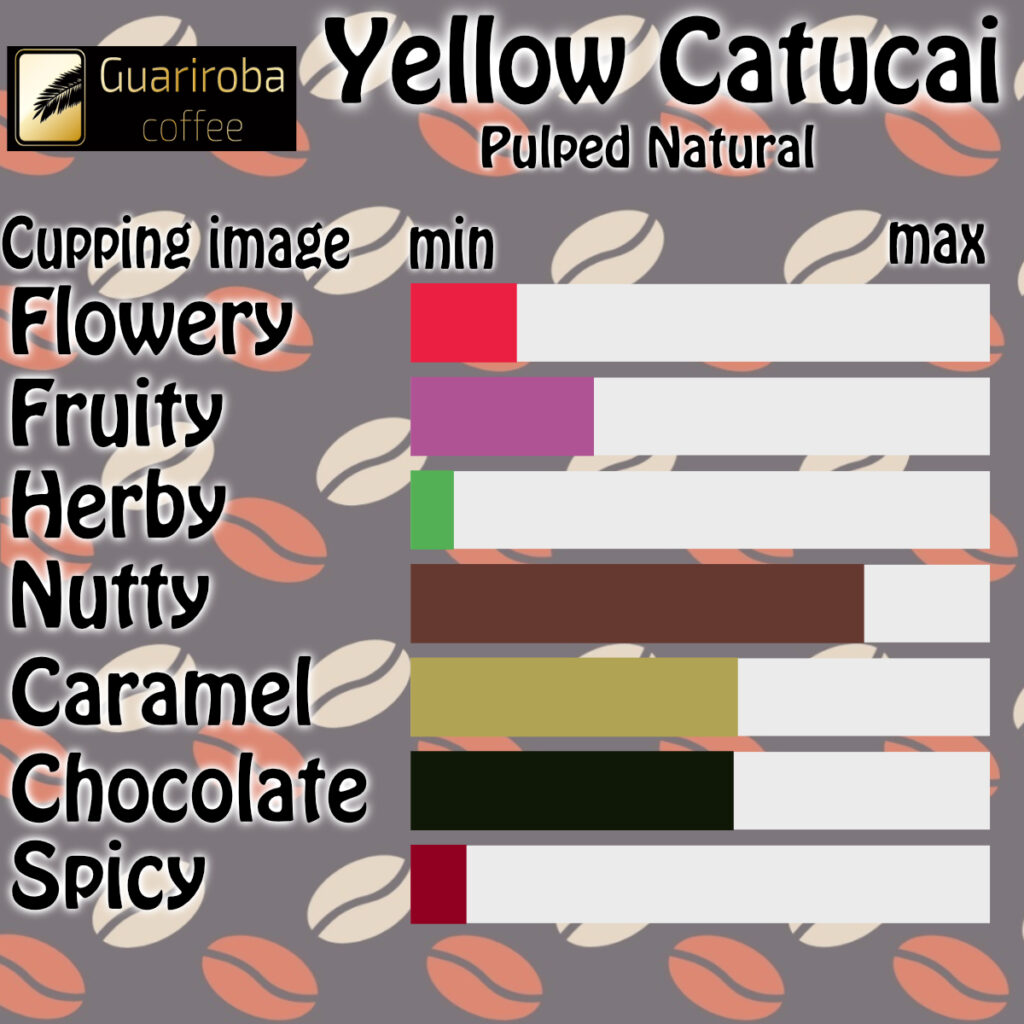 Guariroba – Yellow Catucai Pulped Natural